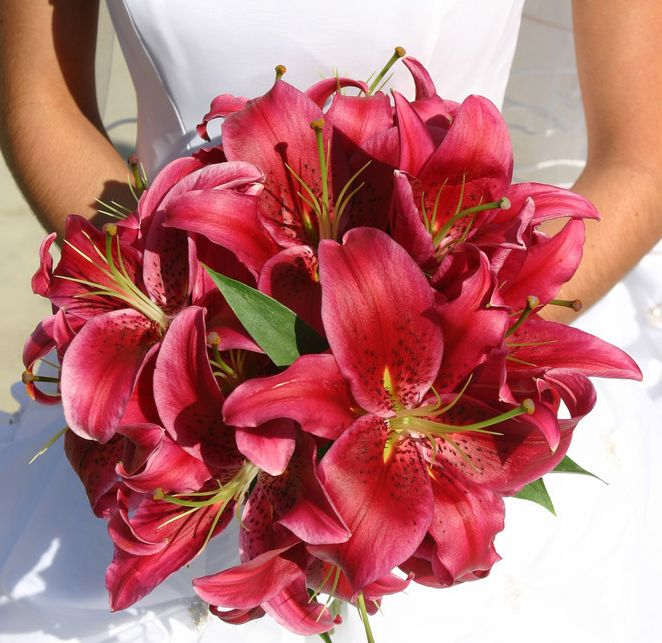 20120114121752_wM444.jpg