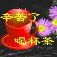 185029dg7j7rgzel7jjl7d.jpg