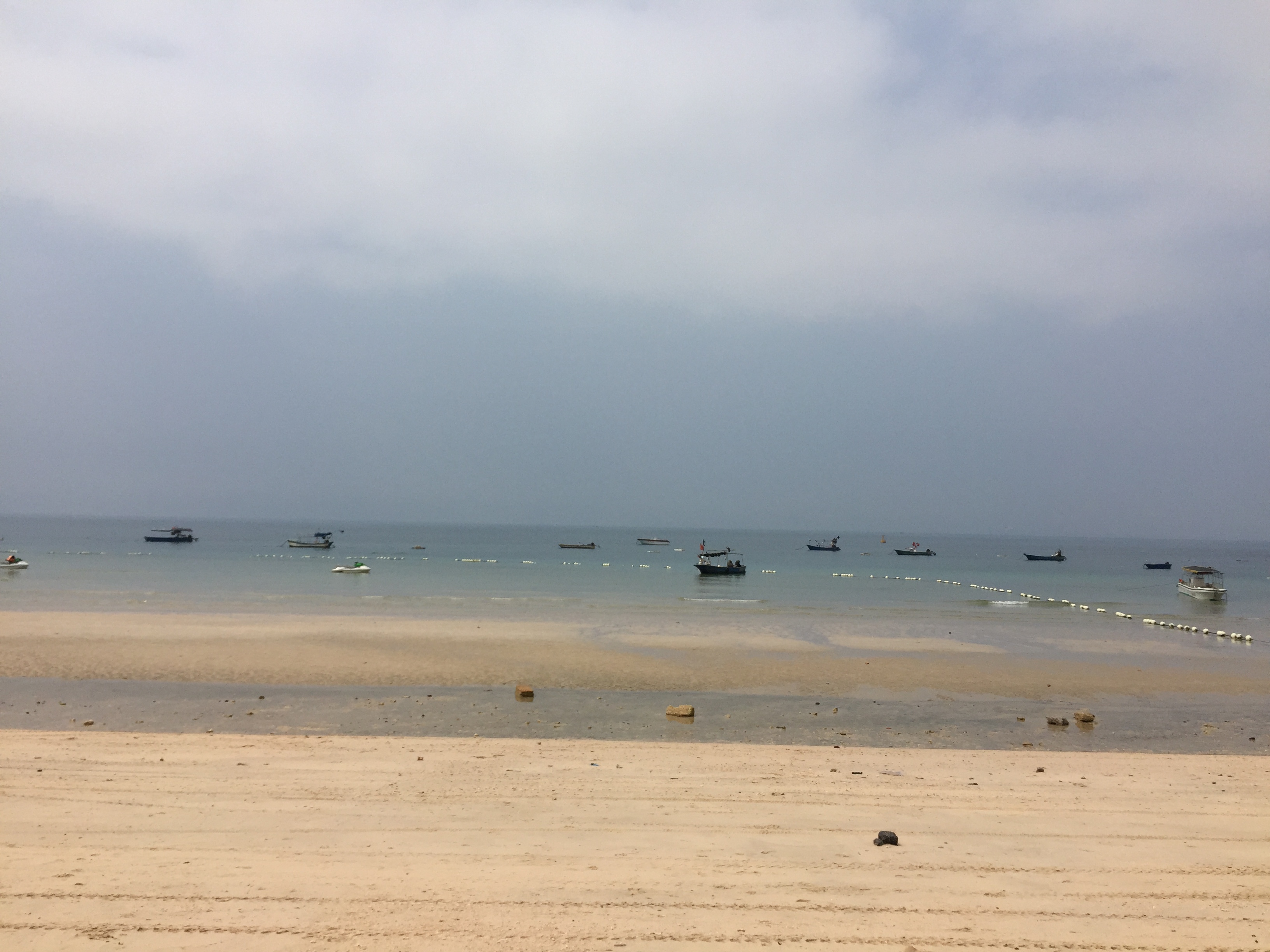 D76D2B69-360F-4BAC-8F2F-5812AE3348CA.jpeg