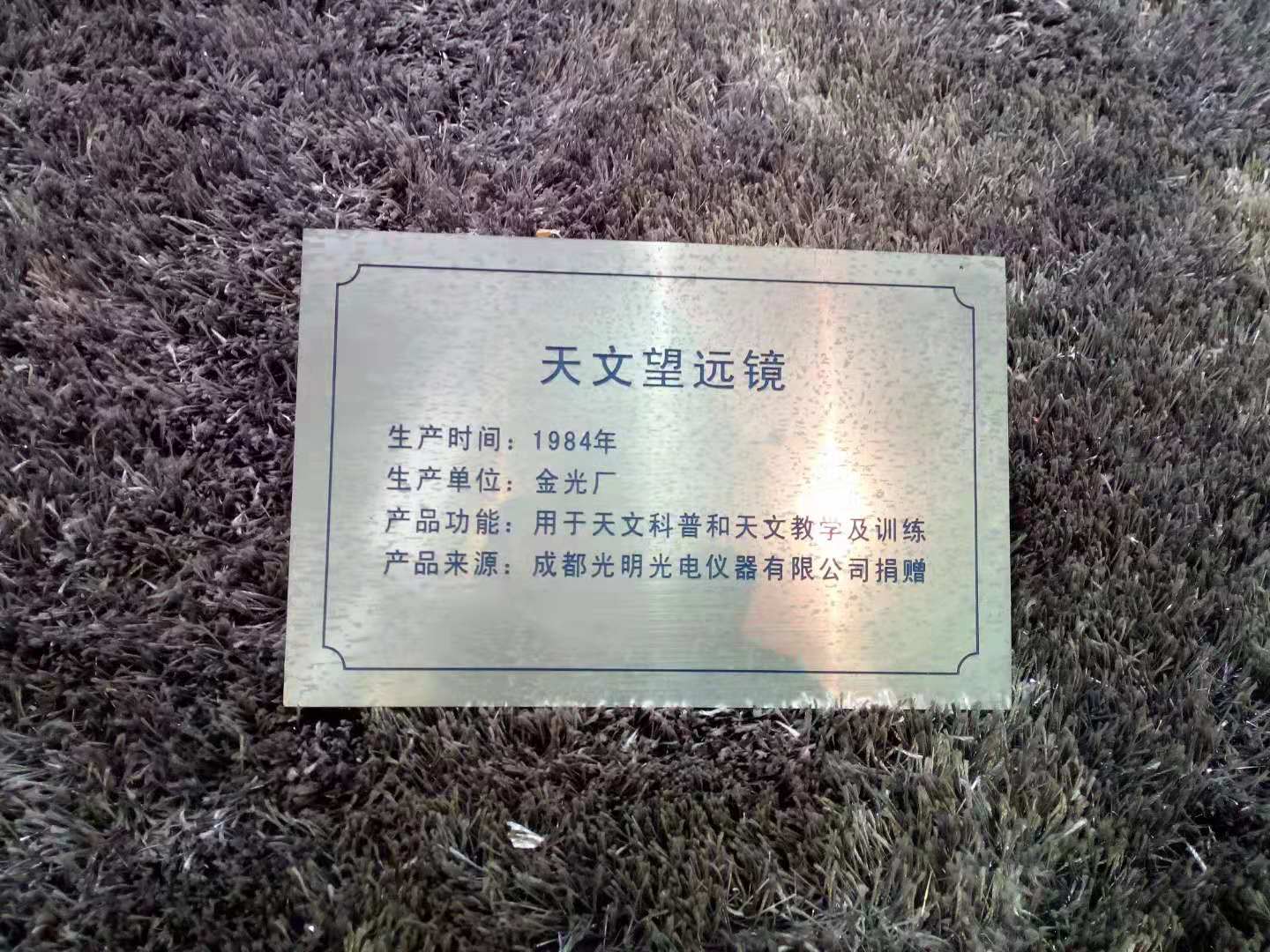 54.jpg