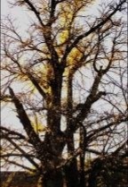IMG_20191003_141812.jpg