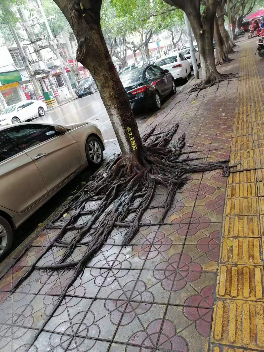 һ.jpg