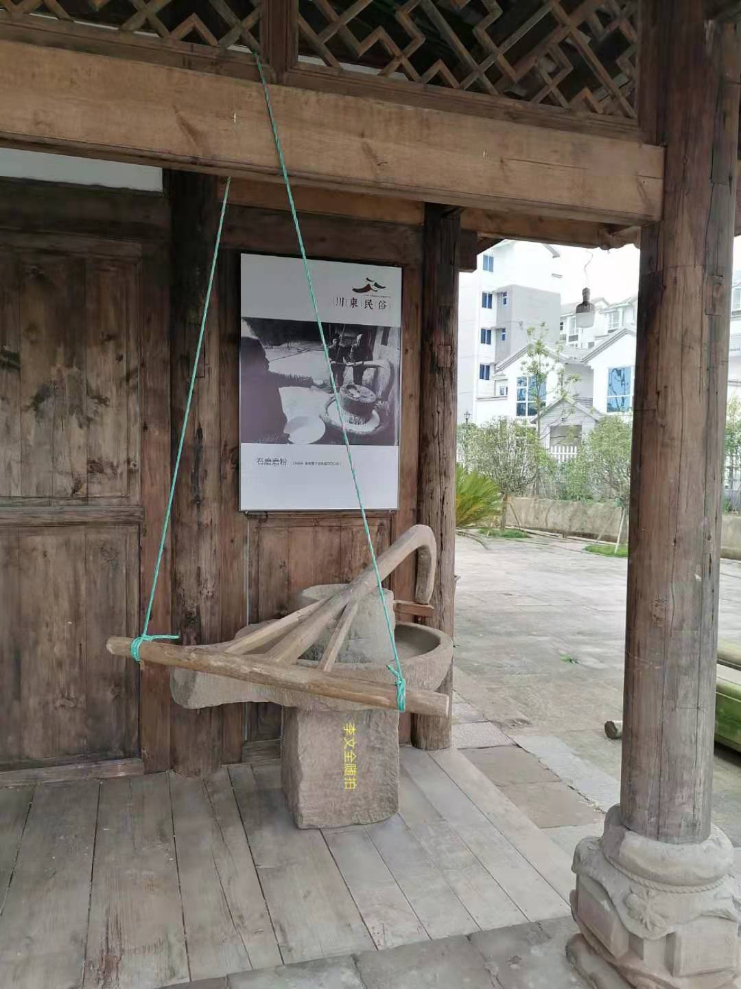.jpg