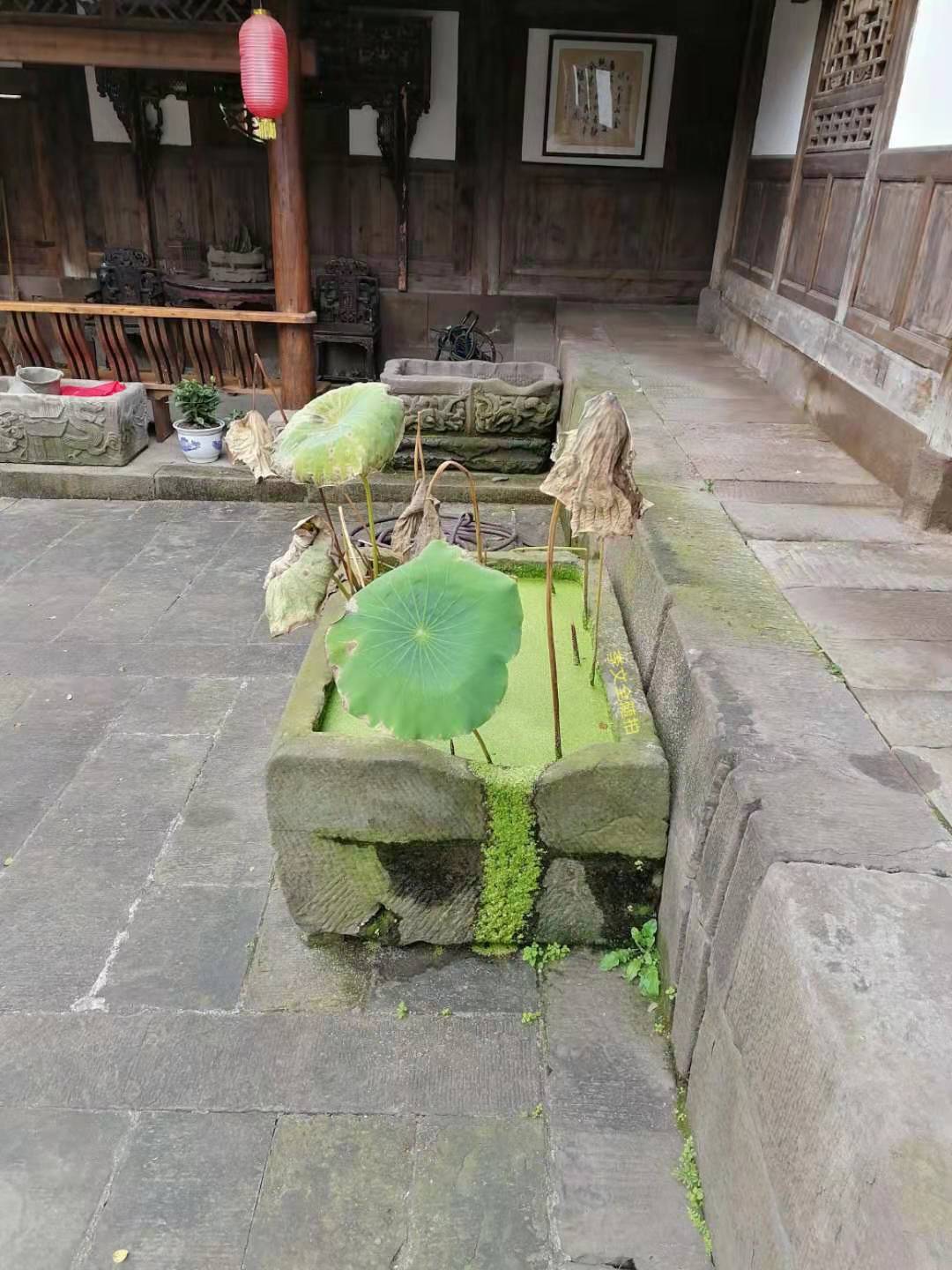 ӵ.jpg