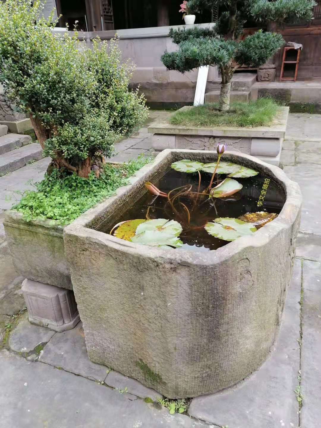 ֻһ.jpg