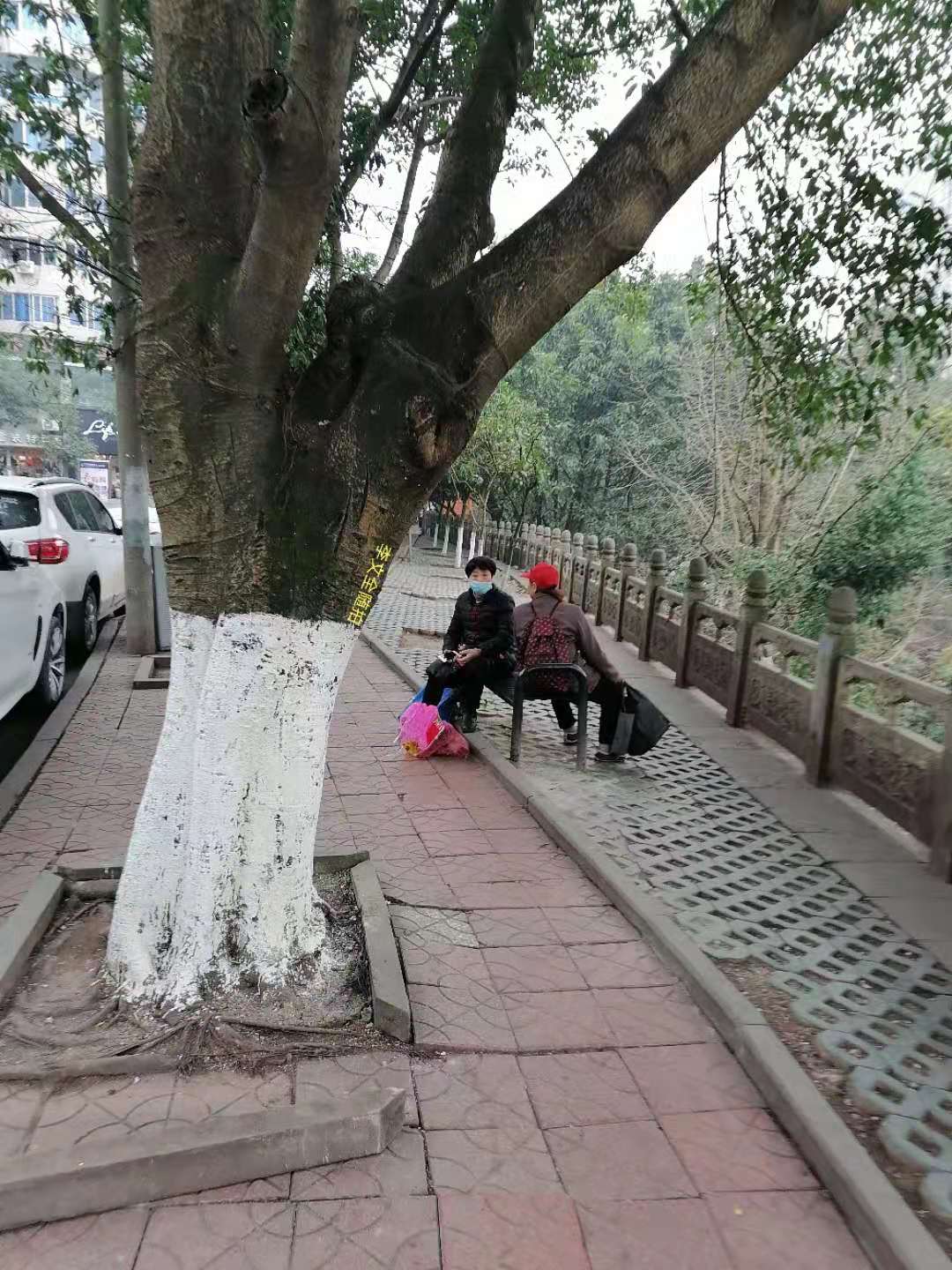 Ҳһݰ.jpg