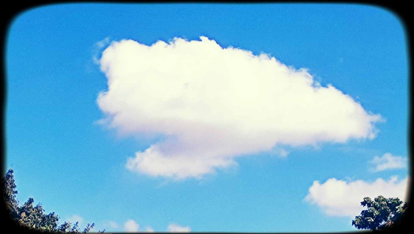 0420ugdd1_.jpg
