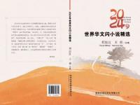 ��2024�����绪����С˵��ѡ�����